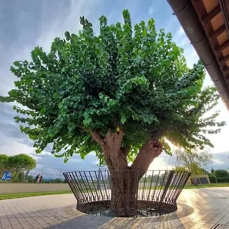 La Buona Compagnia Séjour à la ferme *